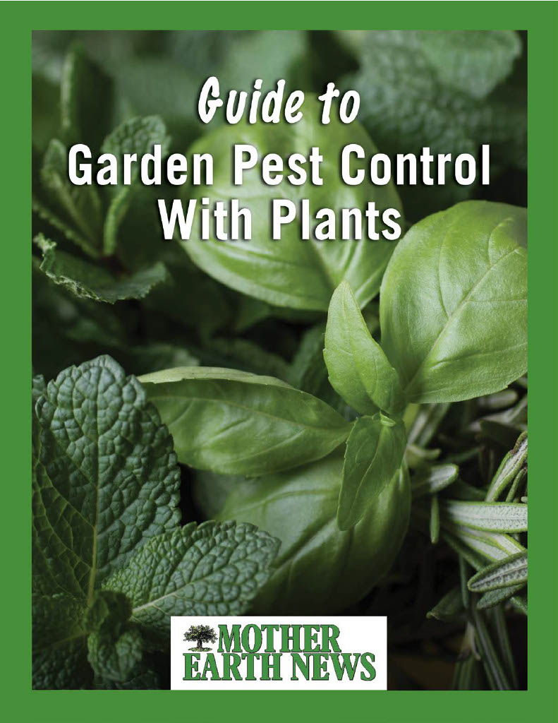 Plants for Pest Control